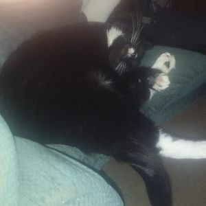 Meet your Posher, Pam